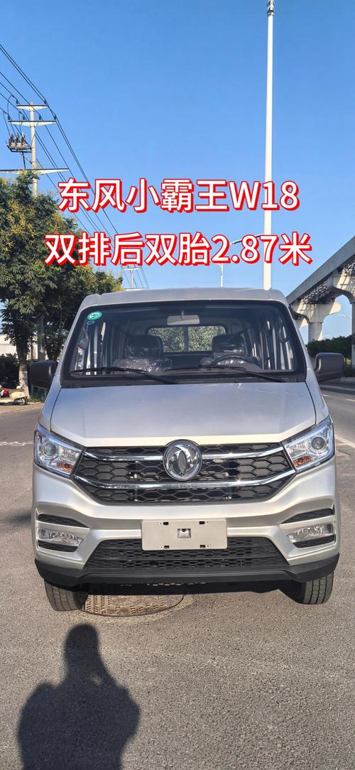 东风小霸王双排w18多少钱_东风小霸王W18双排_东风小霸王双排w18报价